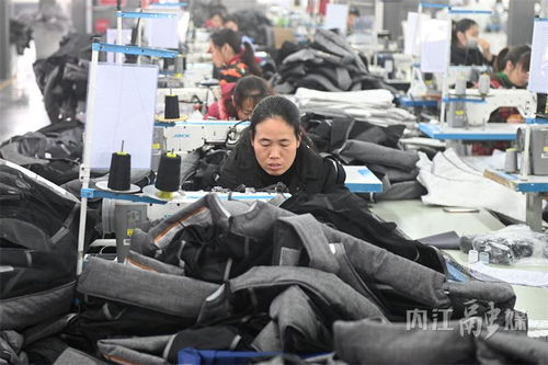 沖刺開門紅，內江外貿企業(yè)生產忙 嬰童用品器材產業(yè)馬力全開